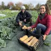 photo  sophie lagarenne et mathieu bourgeois pratiquent le maraîchage sur sol vivant.   