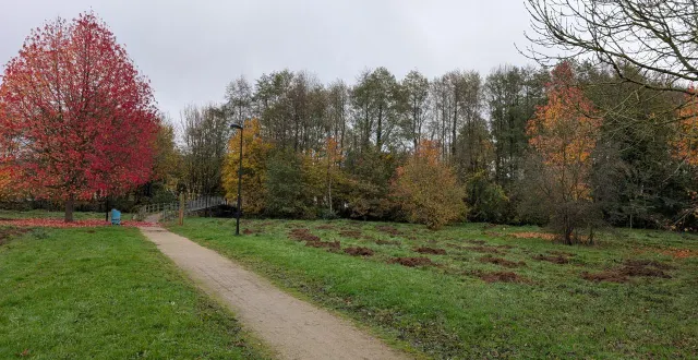 photo  l’arboretum, en devenir, de part et d’autre de l’allée qui conduit des logements étudiants vers la résidence des aînés, un symbole souligné par anita paillot, maire.  &copy;  ouest-france 