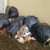 photo par manque de places à cause d’un ramassage des ordures ménagères tous les 15 jours, les déchets s’accumulent.