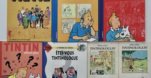 photo  des albums, ouvrages et revues sur l’univers d’hergé, l’auteur de tintin, seront à vendre aux enchères le lundi 17 novembre 2025.  &copy;  luc révillon 
