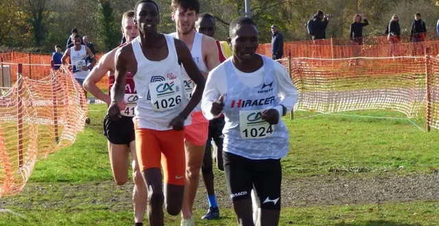 photo  aux avants postes dès les premiers mètres, le kenyan david cheserek (dossard 1024) a remporté le cross international de montilly-sur-noireau en ce 11 novembre, devant ses compatriotes alfred cheruiyot et kevin kibiwot.  &copy;  ouest-france 