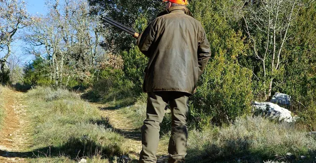 photo  deux chasseurs ont été reconnus coupables de pratiques illégales lundi 10 novembre 2025 au tribunal de police de poitiers. photo d’illustration.  &copy;  jackmac34 / pixabay 