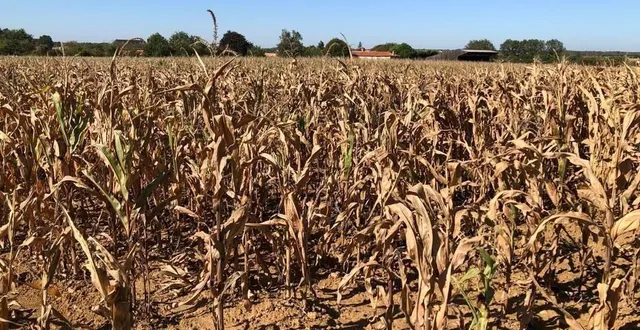 photo  quel avenir pour le climat et l’agriculture dans la vallée du loir ? serge zaka, docteur en agroclimatologie, et lionel salvayre, référent territorial pays de la loire à météo france, apporteront des éléments de réponse lors d’une conférence accessible à tous vendredi 21 novembre 2025, au lude, près de la flèche (sarthe).  &copy;  archives ouest-france 