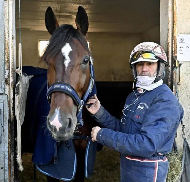 photo jushua tree, le nouveau champion de jean-michel bazire, qui lui a laissé le temps de mûrir à point.  ©  archives ouest-france