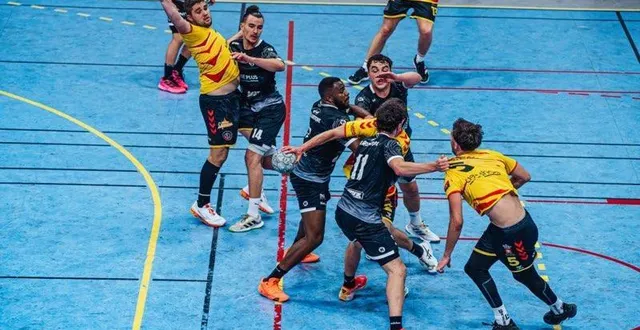 photo  les frères le merle, tanguy, mathéo et arthur jouent, cette saison, pour le club alençonnais. une belle histoire familiale et sportive.  &copy;  ouest-france 