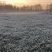 photo des gelées sont attendues pour la semaine prochaine en normandie.