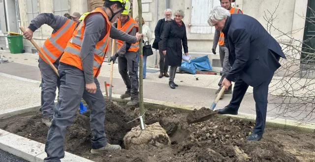 photo  le mans, vendredi 14 novembre 2025. le maire stéphane le foll, pelle en main, a rappelé son engagement de planter « plus de 1 000 arbres par an » depuis le début de son mandat.  &copy;  le maine libre 