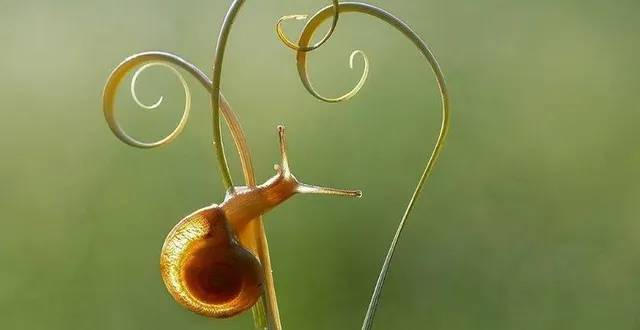 photo  « le petit peuple du potager » à la médiathèque de beaufort.  &copy;  dr 