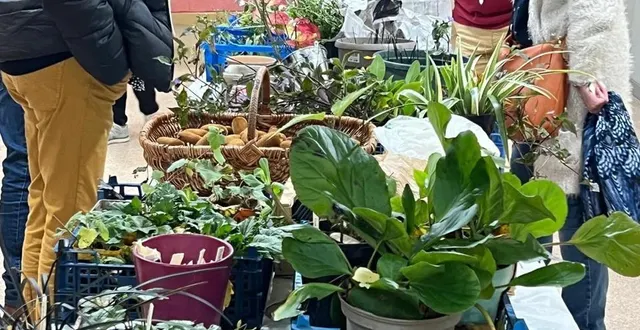 photo  le troc plantes revient samedi 15 novembre 2025 pour sa troisième édition.  &copy;  colette nay 