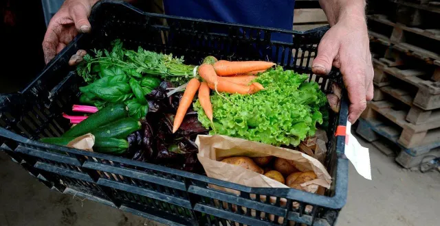photo  les paniers de légumes seront distribués aux personnes enceintes de la commune.  &copy;  archives ouest-france 