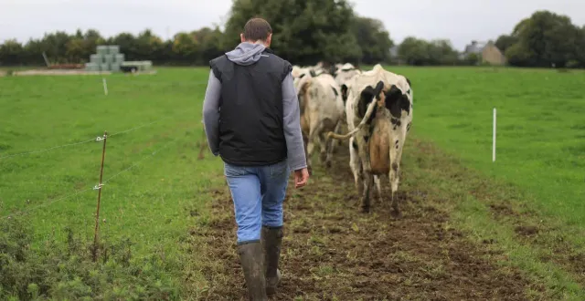 photo  l’association solidarité paysans 49 constate une hausse des demandes d’accompagnement.  &copy;  archives yves-marie quemener/ouest-france 