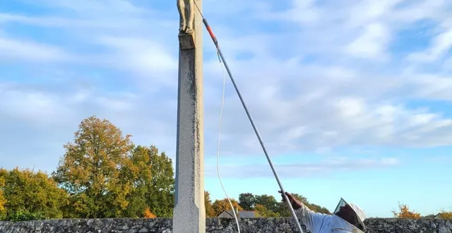 photo  un nid de frelons asiatiques a été délogé du cimetière.  &copy;  co 