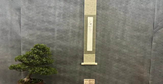 photo  la composition l’azalée et érable burger de gilles juigné sélectionnée au congrès european bonsaï association.  &copy;  le maine libre 