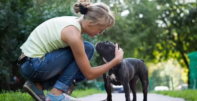 photo  dans le maine-et-loire, deux propriétaires sur dix optent pour la crémation de leur animal décédé. c’est deux fois plus qu’il y a dix ans, selon les pompes funèbres animalières (photo d’illustration).  &copy;  kozorog – fotolia 