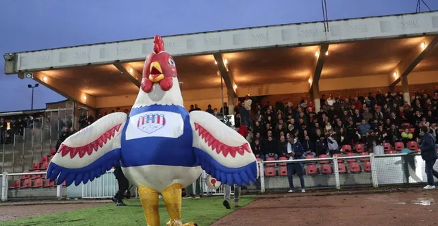 photo  la mascotte du sablé fc, aux couleurs de la marque le gaulois, était de sortie pour cette rencontre de football exceptionnelle qui n’a malheureusement pas souri au sablé fc.  &copy;  ouest-france 