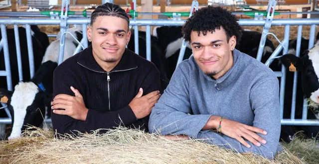photo  enzo et edwin tonje posent dans la ferme de cyril lemaître, à auvers-le-hamon, chez qui le premier est en apprentissage.  &copy;  ouest-france 
