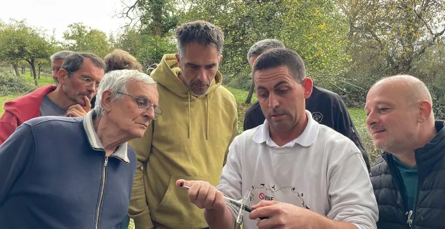 photo  segré-en-anjou-bleu, mercredi 5 novembre.apiculteurs professionnels et amateurs observent le déroulé du processus qui consiste à insérerune puce radio dans le corps d’un frelon asiatique préalablement capturé.  &copy;  co – lucas jariais 