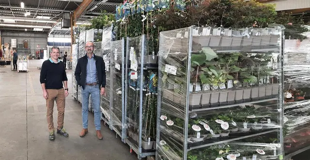 photo  numéro trois du marché horticole français, cerdys a ouvert en 2021 sa plateforme logistique à saint-barthélemy-d’anjou.  &copy;  cerdys 