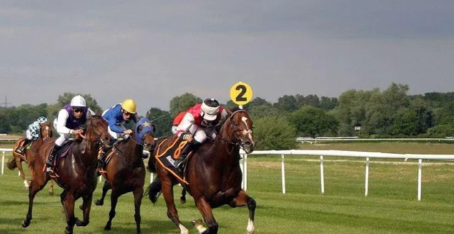 photo  dernière réunion 100 % galop sur l’hippodrome du mans, lundi 17 novembre 2025.  &copy;  archives ouest france 