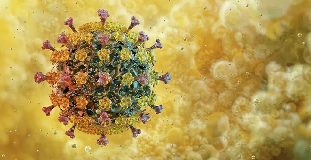 photo  illustration du virus de la grippe aviaire.  &copy;  ruslanas baranauskas/science phoscience photo library via afp 