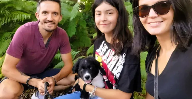 photo  renaud ségard et laurence joursand entourent myliane, leur fille, et hélios, le chien de la famille. ils espèrent ouvrir leur hôtel à chats d’ici le premier trimestre 2026.  &copy;  dr 