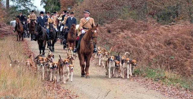photo  l’équipage champchevrier est le plus ancien à chasser à courre en forêt de bercé.  &copy;  ouest-france 