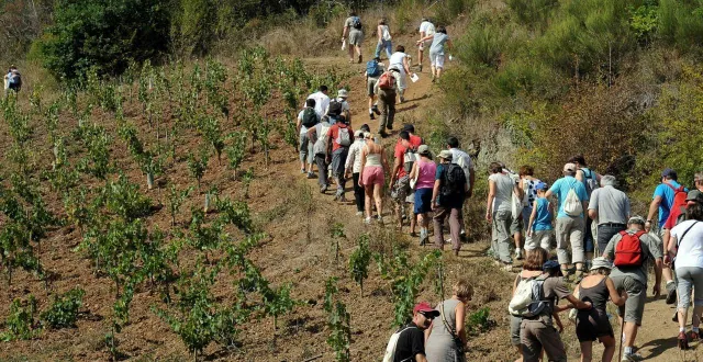 photo  les randonneurs s’apprêtent à vivre une semaine intense à travers les vignes et les coteaux.  &copy;  archives co 
