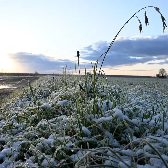 photo la masse d’air polaire s’est invitée sur la france métropolitaine.  ©  co - josselin clair