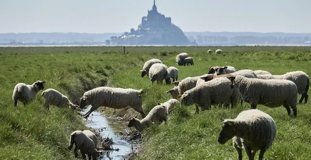 photo  un vidéaste américain estime que les vidéos sur internet du mont-saint-michel sont réalisées par l’intelligence artificielle et que le lieu n’existe pas.  &copy;  archives ouest-france 