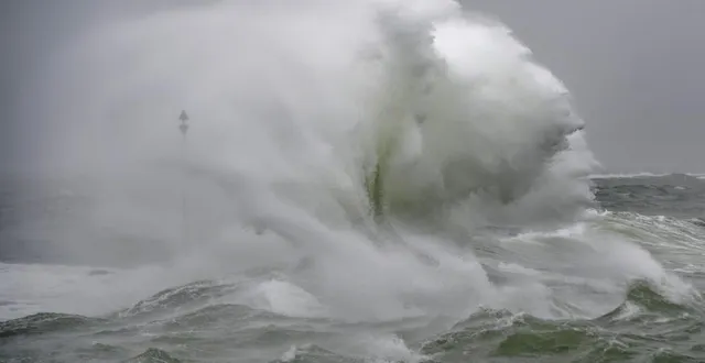 photo  un coup de vent et autres avis de vent frais à grand frais sont annoncés pour ce week-end (illustration).  &copy;  archives thierry creux / ouest-france 