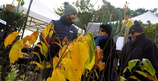 photo  doué-en-anjou, samedi 22 novembre 2025. denise et guy (à droite) sont revenus écouter les conseils des professionnels présents et faire quelques achats bien pensés.  &copy;  co - matthieu gruaz-toussaint 