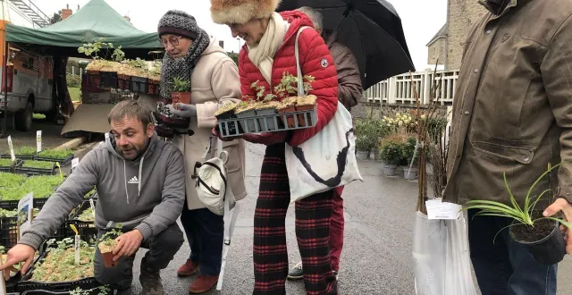 photo  après le froid de la matinée, la pluie s’est invitée dans l’après-midi à la sainte-catherine de briouze (orne).  &copy;  ouest-france 