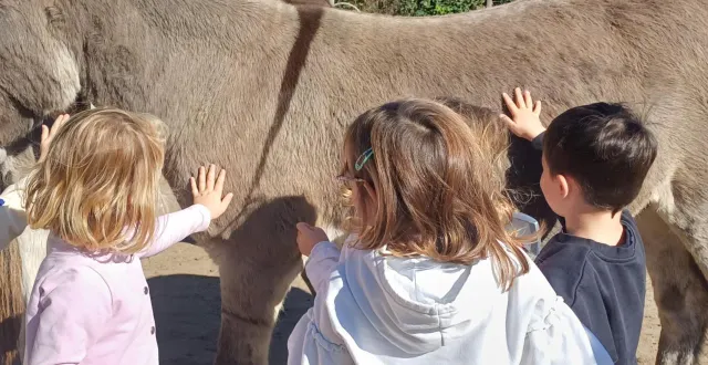 photo  la fontaine aux ânes existe depuis 20 ans.  &copy;  archives co 