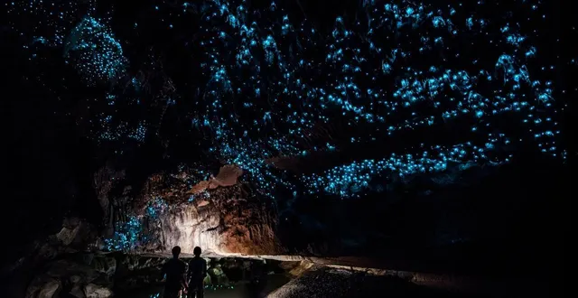 photo  la grotte aux verts luisants de waitomo est une attraction touristique majeure de l’île du nord, en nouvelle-zélande.  &copy;  istock - marcelstrelow 