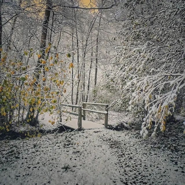 photo à tourouvre-au-perche (orne), un paysage féerique !  ©  photo fournie par edgard dival