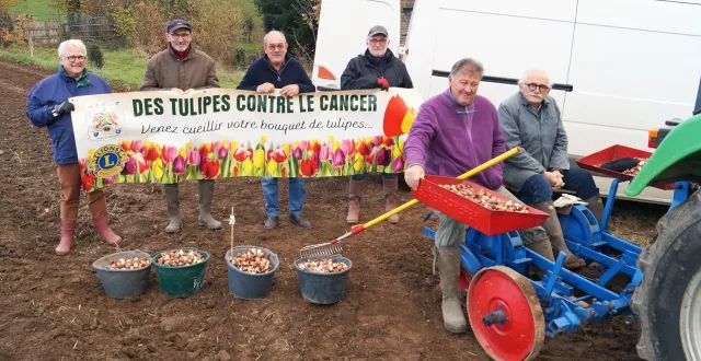 photo  patrick loiselet, jacques mauduit, christian garnier, antoine lemaréchal, michel bichot et jacques le feuvrier sont à l’ouvrage en cet après-midi automnal pour la plantation des bulbes de tulipes.  &copy;  ouest-france 