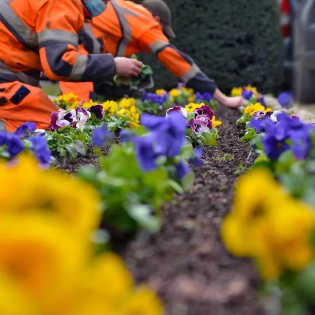 photo au quotidien, les équipes des espaces verts entretiennent massifs, parcs, bordures et massifs fleuris.  ©  ouest-france