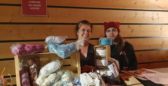 photo  delphine vacher et charly mortier, de l’association au petit grenier, proposaient un stand de mercerie de seconde main pendant la séance ciné-maille, mardi 18 novembre.  &copy;  ouest-france 