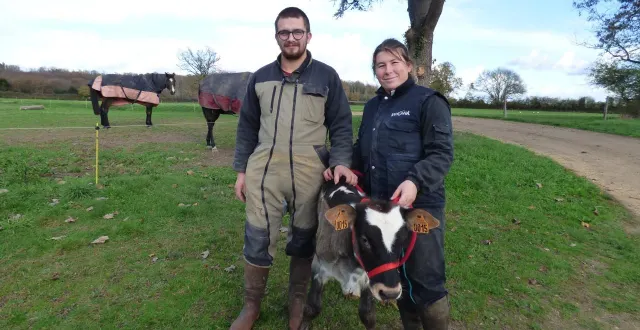 photo  curieuse autant qu’affectueuse, alouette, 2 mois et demi, entourée de ses naisseurs : fabien frénéhard et eileen egon, se prépare à assurer son rôle de mascotte du comice de bazouges-cré-sur loir, qui se tiendra du 28 au 30 août 2026. une manifestation qui nécessite un gros besoin de bénévoles.  &copy;  ouest-france 