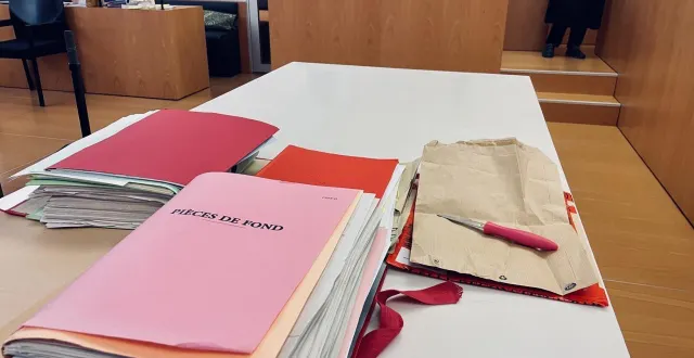 photo  mardi 25 novembre 2025, au deuxième jour du procès d’un coup de couteau mortel à argences, devant la cour d’assises du calvados, l’avocate des parties civiles, tout comme les experts, ont bousculé la version d’un geste involontaire. ici, le couteau sorti des scellés, à côté du dossier criminel.  &copy;  ouest-france 