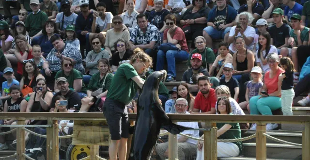 photo  le zoo lance cette vaste collecte de souvenirs « pour reconstruire 80 ans d’histoire vivante. »  &copy;  archive le maine libre 