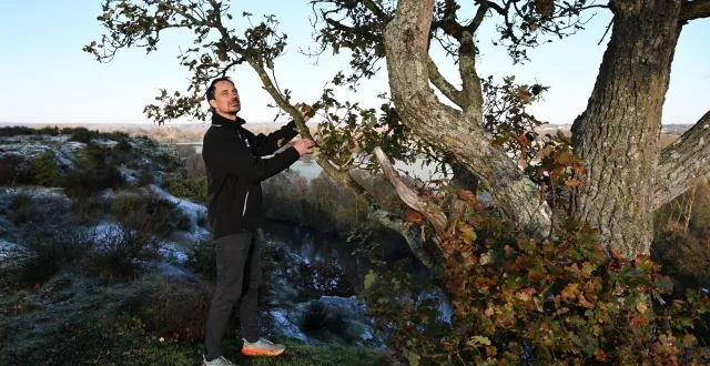 photo  mûrs-erigné, le 21 novembre 2025. arnaud cochard, responsable pour le maine-et-loire du conservatoire d’espaces naturels des pays de la loire, se penche sur l’emblématique roche de mûrs et sur la plaine inondable des varennes, en contrebas.  &copy;   co – josselin clair 