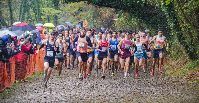 photo  la course des as hommes lors de la 61e édition du cross d’allonnes, le 23 novembre 2025.  &copy;  dominique breugnot/ouest-france 