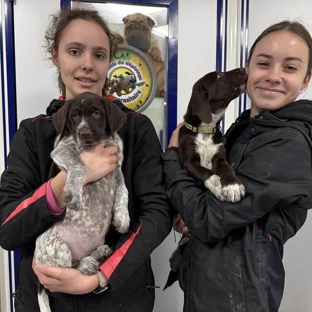 photo angèle et alyssia, assistantes de guillaume ganivet, ont elles aussi participé au biberonnage des chiots.  ©  ouest-france