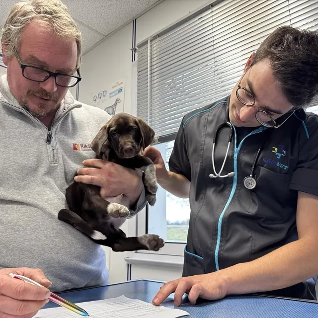 photo il a fallu se montrer très créatif pour trouver dix prénoms commençant par la lettre a. les chiots porteront tous des prénoms de dieux grecs ! juste revanche sur le destin.  ©  ouest-france