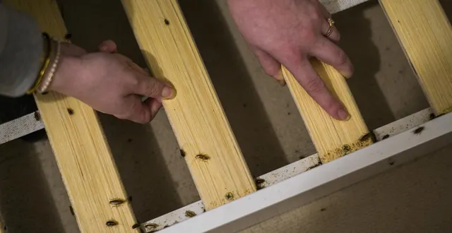 photo  manon, 22 ans, et ses deux enfants (1 an et 3 ans) vivent dans un logement insalubre et infesté de cafards du quartier de l’épine, au mans.  &copy;  le maine libre - denis lambert 