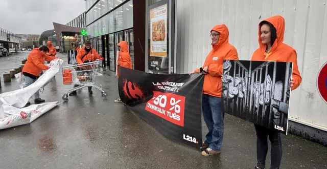 photo  l’association de défense des animaux l214 est à l’origine de cette action qui entend dénoncer les « 330 000 animaux tués par jour pour carrefour ».  &copy;  ouest-france 