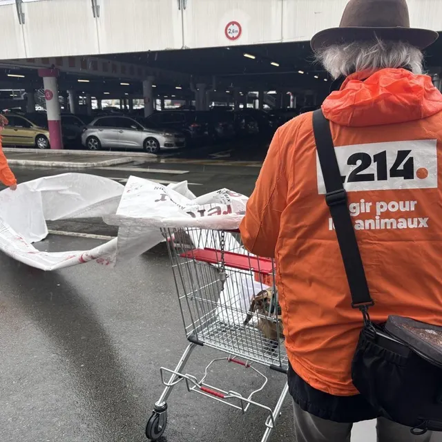 photo un ticket de caisse de 12 mètres a été déployé.  ©  ouest-france