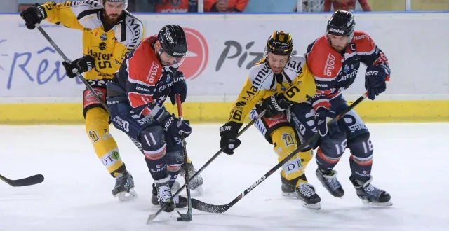 photo  en novembre 2018, robin gaborit (n° 11) et julien albert (n° 18) évoluaient dans la même ligne offensive des ducs d’angers.  &copy;  sébastien aubinaud 