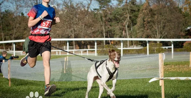 photo  thibault guibret, 14 ans, et sa chienne revolt, lors de leur participation aux derniers mondiaux de canicross.  &copy;  markéta duchacova photography 